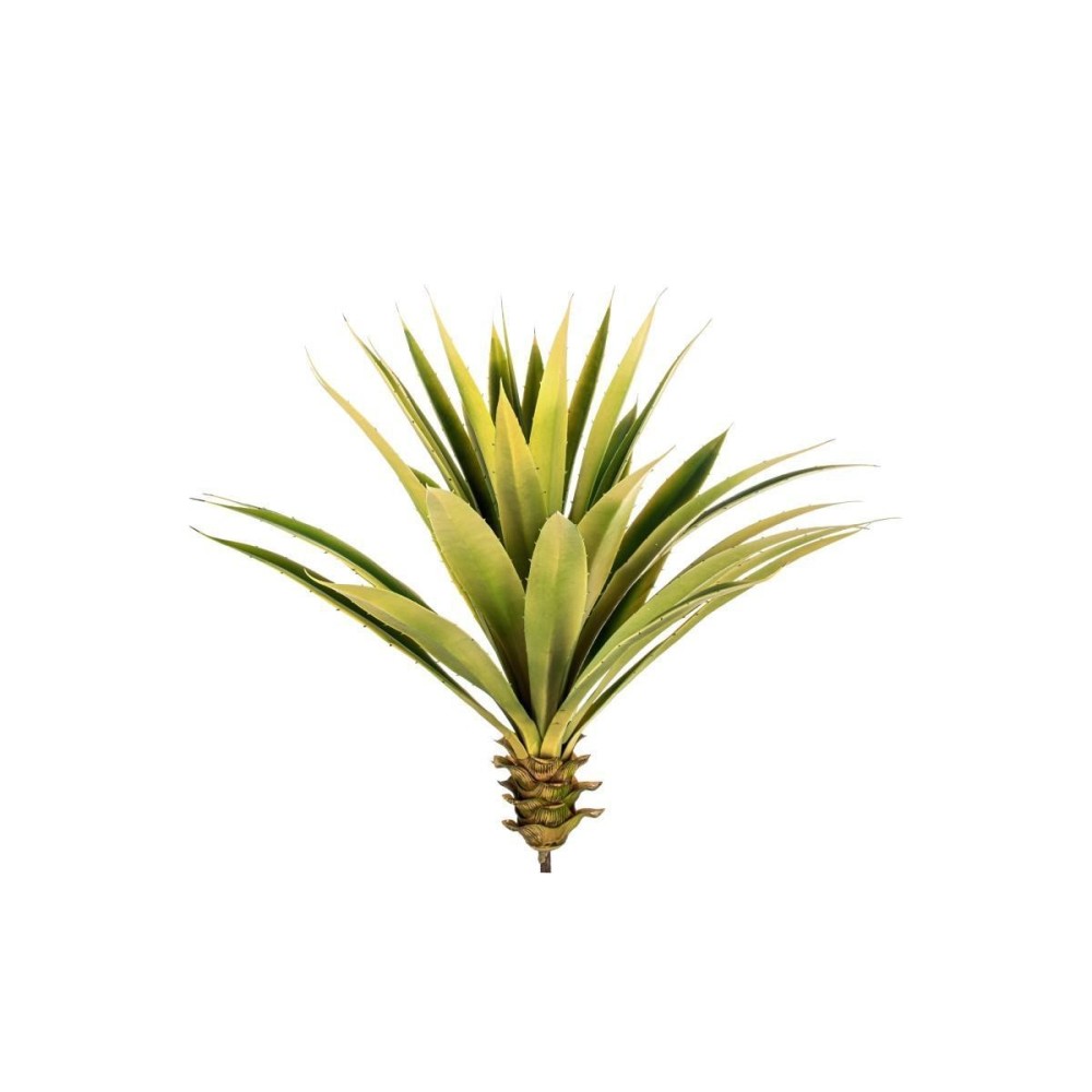 AGAVE H60 GREEN